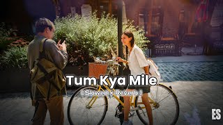 Tum Kya Mila  Slowed  Reverb  Arijit Singh amp Shreya Ghoshal  Echo Star [upl. by Sezen]