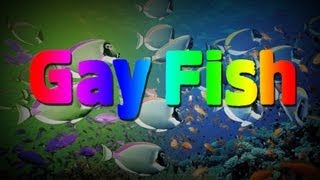 Female Fish Turned On By Gay Male Fish Behavior [upl. by Seeto]