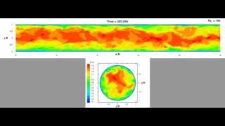 DNS pipe flow [upl. by Lerrud243]