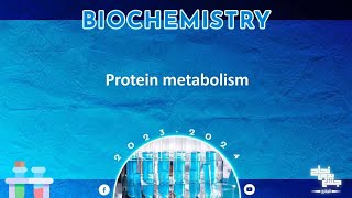 L 21 Protein metabolism 1 Amino acid pool and Oxidative deamination of amino acids Biochemistry [upl. by Jojo]