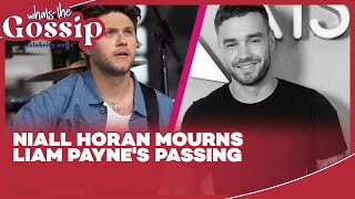 Niall Horan Heartbroken Over Liam Payne’s Passing [upl. by Aline]