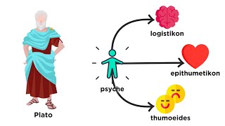 A Brief History of Psychology From Plato to Pavlov [upl. by Edison]