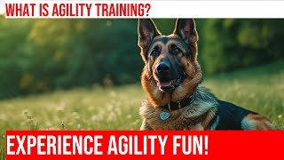 German Shepherd Agility Showcasing Natural Athleticism [upl. by Adnuhsed]