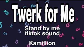 Twerk for Me  Tiktok song remix  Stand by me Tiktok song  Kamillion Lyrics  Tiktok song remix [upl. by Petronia]