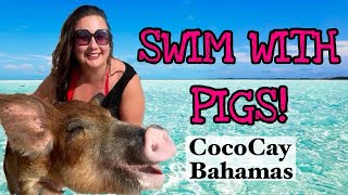 Swimming Pigs Tour  Perfect Day Cococay Bahamas EXCURSION REVIEW [upl. by Tarrel]