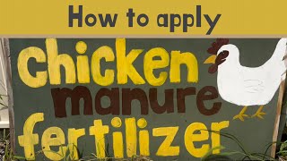 HOW TO APPLY CHICKEN MANURE FERTILIZER [upl. by Ahsatak]