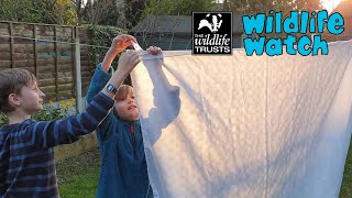 Wildlife Wednesday How to make a sheet moth trap [upl. by Anirda]