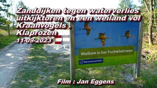 Zanddijken tegen waterverlies  uitkijktoren en veel kraanvogels Klaprozen bij het Fochteloërveen [upl. by Moyer890]