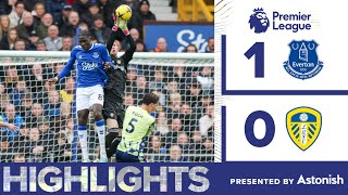 HIGHLIGHTS  EVERTON 10 LEEDS UNITED  PREMIER LEAGUE [upl. by Oguh588]