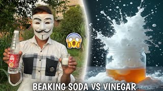 Vinegar And Baking Soda Experiment 😲 [upl. by Yalonda224]