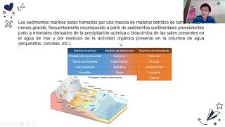 Yacimientos Sedimentarios [upl. by Lim946]