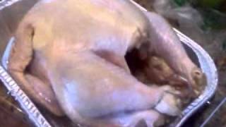 We made Alton Browns Foolproof Thanksgiving Turkey [upl. by Eelyrag]