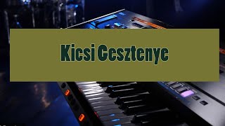 Kicsi Gesztenye KORG style by CSL Studio [upl. by Lorelie]