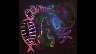 DNA Proves Evolutionary Theory is Wrong [upl. by Burlie]