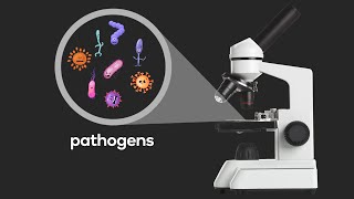 What are pathogens [upl. by Lleoj]