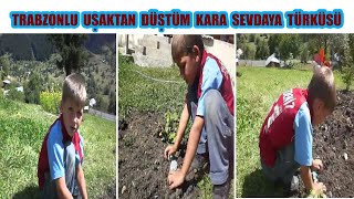 Trabzonlu Uşaktan Düştüm Kara Sevdaya Türküsü [upl. by Irolam]