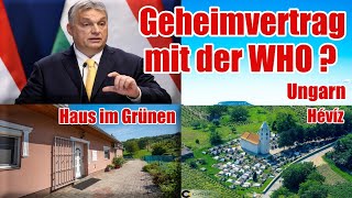 WIRTSCHAFT IM KALTEN KRIEG UND VERTRAG MIT WHO  UNGARN [upl. by Hcnarb]