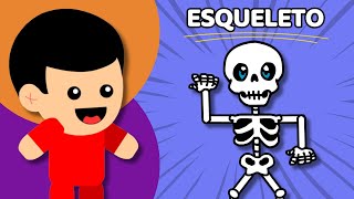 DANÇA DO ESQUELETO  Animadinhos Música Infantil [upl. by Roosevelt278]