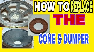 HOW TO REPLACE SPEAKER CONE amp DUMPER [upl. by Gerda]