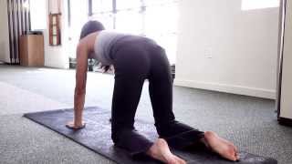 Beginners Pilates  Pilates Exercises for Beginners and Seniors  PART 2 [upl. by Jordain]