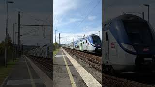 Omneo premium hdf sifflet train sncf abonnetoi trainspotting sncb railway chemindefer like [upl. by Girand]