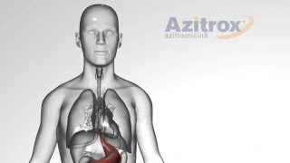 AZITROX Grafica 3DLAURMEDIAProductie audiovideo [upl. by Salkin]