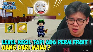 BOCIL 10 TAHUN INI BARU MAIN TAPI ROBUXNYA BANYAK BANGETTTT [upl. by Shurlock]