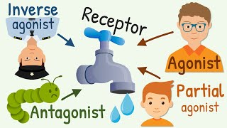 Agonist Partial Agonist Antagonist and Inverse Agonist for Receptors [upl. by Fujio]