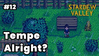 Tempe apa yang gapapa  Stardew Valley PC [upl. by Aidne]