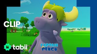 Animals Council  Captain Pengu Episode 1 [upl. by Castle]