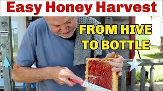 Beekeeping TIPS On Easiest Way To Harvest Honey [upl. by Gare]