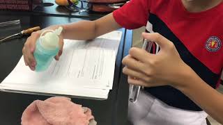 Bio Practical 1 Test for Proteins using NaOH  CuSO4 [upl. by Ahsienot]