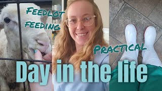 Day In The Life Of A 5th Year Vet Student  University Of Pretoria Vet Student [upl. by Rosabelle]