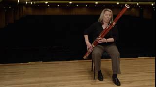 What does a bassoon sound like Ode to Joy [upl. by Assilem]