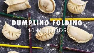 10 ways to fold dumplings [upl. by Winona769]