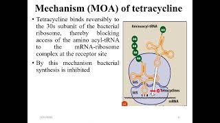 Antibiotics that inhibit protein synthesis Molecular biology [upl. by Seebeck]