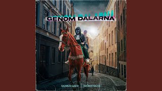 GENOM DALARNA [upl. by Lynnelle]