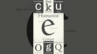 The Evolution of Humanist Fonts A Journey Through History [upl. by Nylrahc]