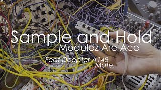 Why Sample and Hold Modules Are Ace [upl. by Anavlis]