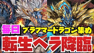 【ランク経験値3倍】転生ヘラ降臨 シヴァドラ周回編成紹介！！【パズルampドラゴンズ】 [upl. by Belva662]