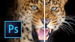 How to Sharpen Images in Photoshop [upl. by Ertnod331]