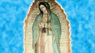 Melodia Celestial para orar descubierta en el manto de la Virgen de Guadalupe [upl. by Tildie]