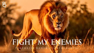 Fight My Enemies Lord  Prophetic Warfare amp Intercession Prayer Instrumental [upl. by Derzon]