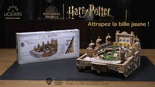 Flipper Quidditch™ de la série Ugears Harry Potter™ [upl. by Nicks]