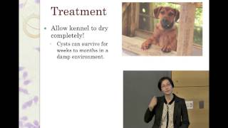 Giardia For Shelter Staff and Volunteers  full video  conference recording [upl. by Esma]