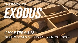 The Book of Exodus Reading  Chapter 112 [upl. by Oludoet]