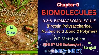 Biomolecules part 2 class 11 theory from NCERT in Bengali Harunbiozone [upl. by Silvester]