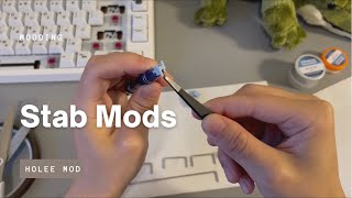 Stabilizers Mods  Holee Mod  Before and After  Keydous NJ80 [upl. by Safir703]