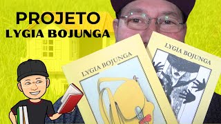 PROJETO LYGIA BOJUNGA [upl. by Eanal]