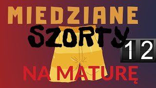 Miedziane szorty na maturę 12 Logarytm nic dodać coś ująć [upl. by Airtened385]